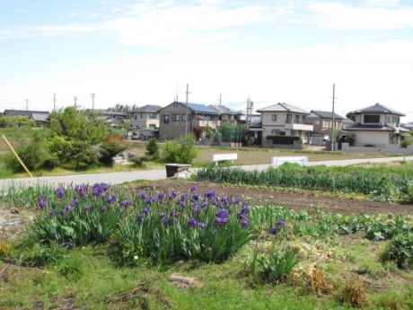 画像34